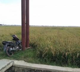 Tanah dijual Pinggir jalan