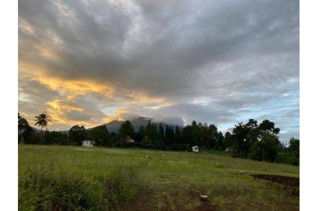 Kavling murah super sale di Megamendung puncak 