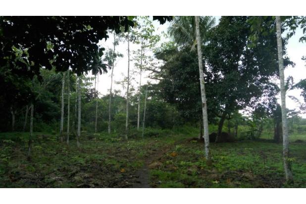 Tanah 4224 m dekat Lanud Rumpin Bogor