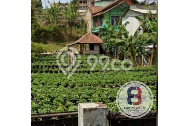 Tanah Kavling Murah Maribaya Lembang Sangat Strategis Dekat Aneka Tempat Wisata