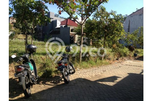 jual murah dan cepat tanah dekat kampus UMM 3 landungsari malang