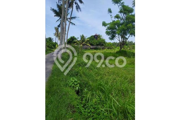 Tanah ukuran kecil pinggir jalan Di sakah ubud selatan