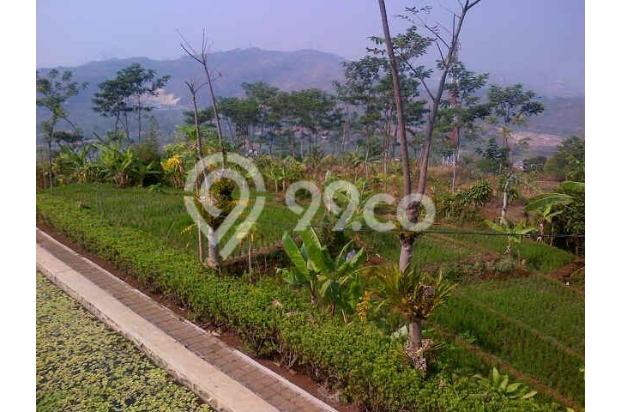 Tanah Padalarang