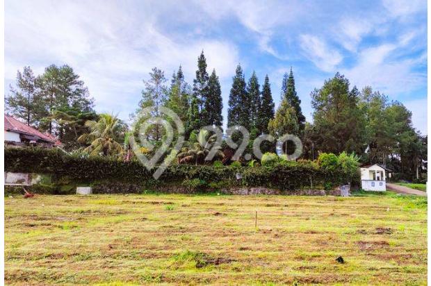 Tanah di jln alternatif cisarua puncak bogor SHM