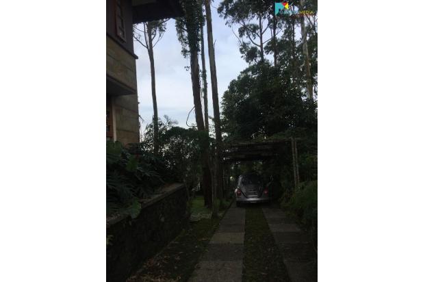 image unavailable