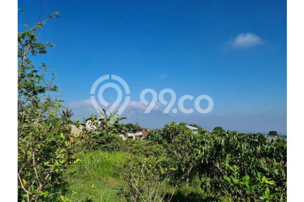 Tanah Murah 5000 M Jl Alternatif Taman Safari Cisarua Bogor