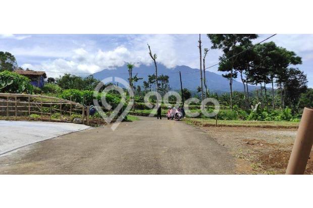 Tanah dijual di deretan villa aktif di Puncak Bogor