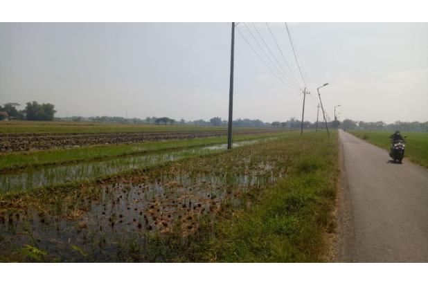 Tanah pertanian sangat luas dan murah di Tulangan Sidoarjo