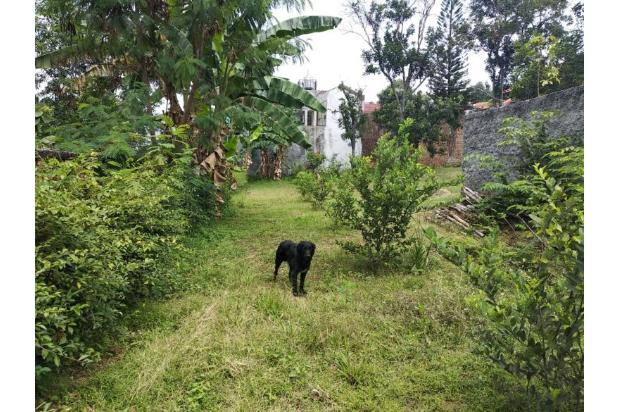 Rumah di Baranangsiang Indah Luas 1386m