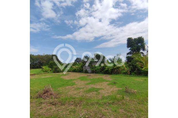 940 SQM FREEHOLD LAND IN LOVINA