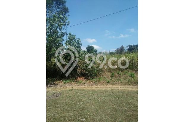 Tanah murah dan luas cocok untuk kebun dan perumahan
