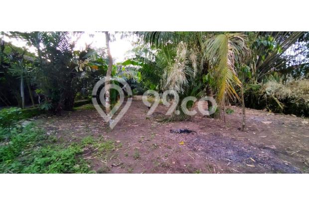 Dijual Tanah Dekat Kampus Umm 2, Magelang