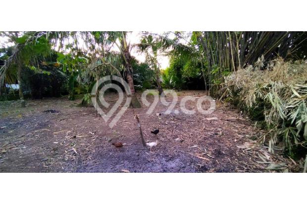 Dijual Tanah Dekat Kampus Umm 2, Magelang