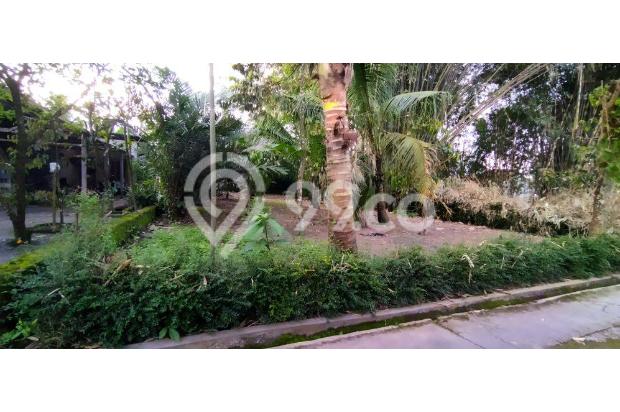 Dijual Tanah Dekat Kampus Umm 2, Magelang