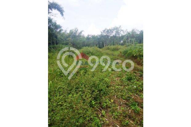 Tanah Kavling Minimalis di Ngenep Karangploso