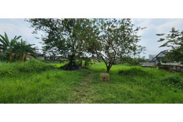 Tanah Ciateul