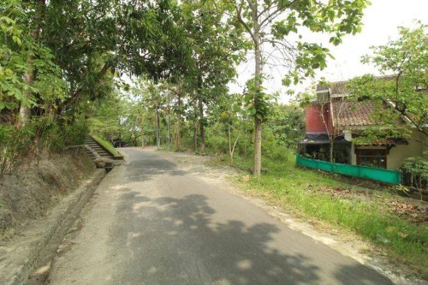 Tanah 2950 Meter Persegi Di Sedayu Bantul