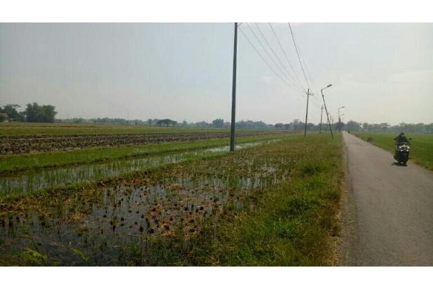 Tanah pertanian luas dan murah Sidoarjo