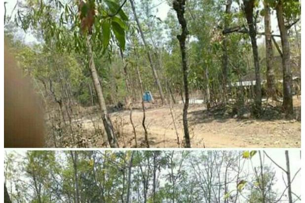 JuaL Tanah : Lt : 1839m² Harga : 52jt . Lokasi Bulu Sukoharjo .