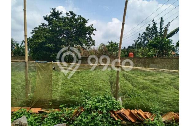 Tanah kavling siap bangun di Tasnim ciampea Bogor
