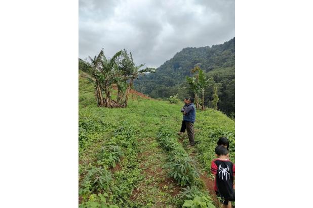 Dijual Tanah Neglasari Sayap Tol Pamulihan Cisundawu Sumedang