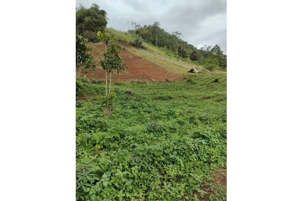 Dijual Tanah Neglasari Sayap Tol Pamulihan Cisundawu Sumedang