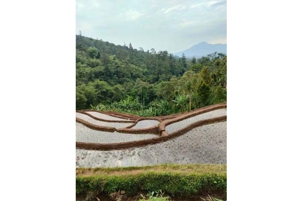 Dijual Tanah Neglasari Sayap Tol Pamulihan Cisundawu Sumedang