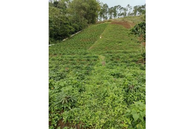 Dijual Tanah Neglasari Sayap Tol Pamulihan Cisundawu Sumedang