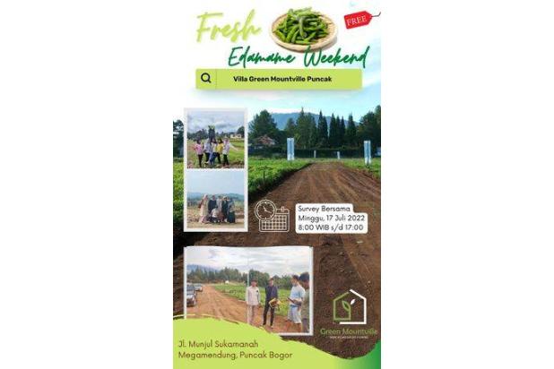 Promo tanah di area wisata