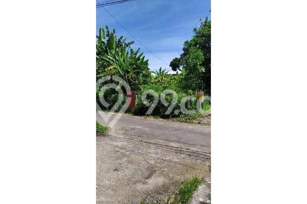 Tanah langka di jalan utama mawang Lodtunduh