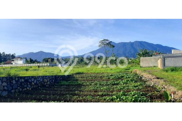 tanah cisarua puncak mountain view shm