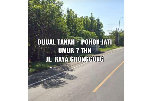 Dijual Tanah + Pohon jati di Kawasan Wisata Gronggong Cirebon