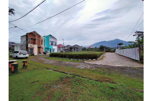 Rumah Mewah 2 Lantai di Kota dengan Nuansa Desa