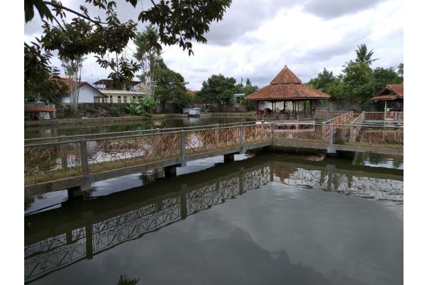 Jual tanah empang atau kolam produktif