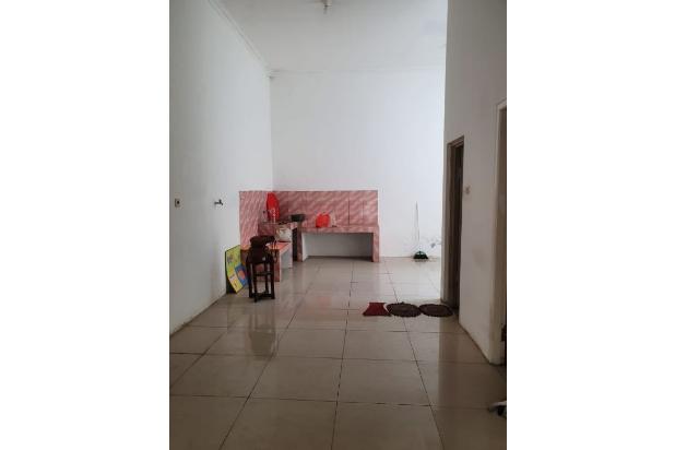 JUAL HIBRIDA KELAPA GADING MURAH HUB 0817782112