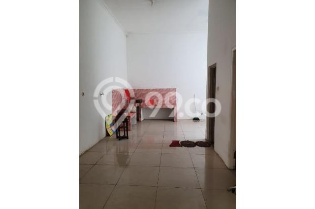 JUAL HIBRIDA KELAPA GADING MURAH HUB 0817782112