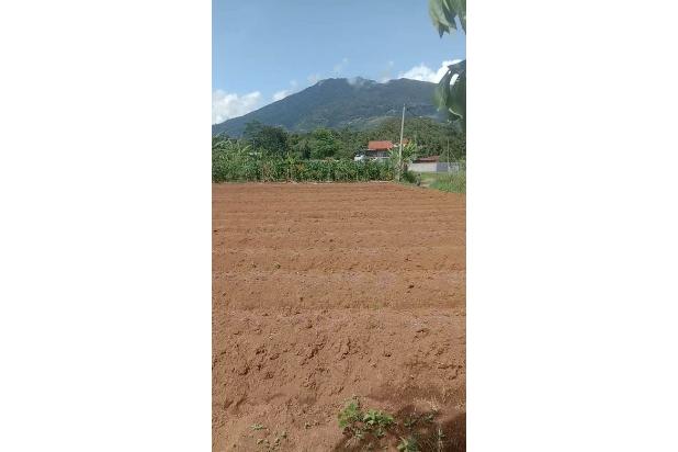 Di jual tanah murah view gunung