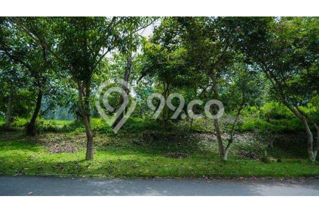 Villa Trinity Tanah Kavling
