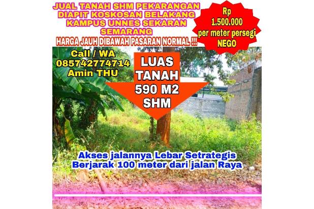TANAH SHM LUAS 590 DI KAMPUS UNNES SEKARAN SEMARANG JUAL MURAH
