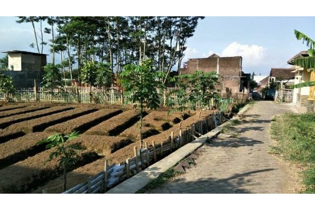 Tanah murah cocok untuk perumahan di Jl Kamboja Batu