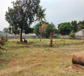 Sewa Tanah Sawo manila pejaten