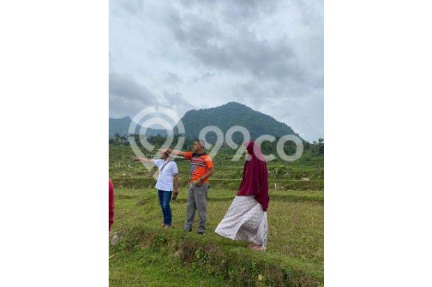 Kavling nuansa alam di Sukamakmur free SHM cuma 200 m²