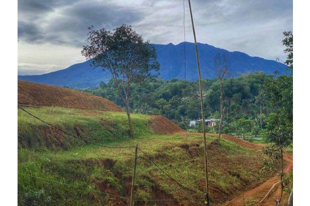 TANAH SULTAN 3000m² CISARUA PUNCAK BOGOR