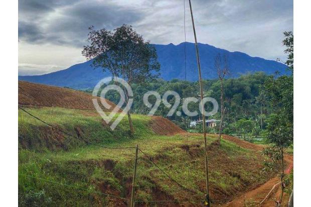 TANAH SULTAN 3000m² CISARUA PUNCAK BOGOR