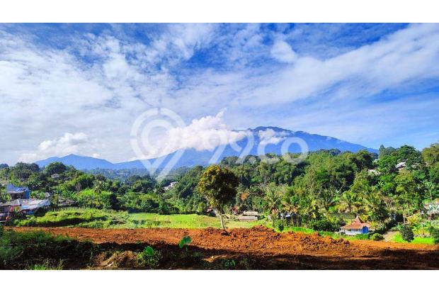 TANAH SULTAN 3000m² CISARUA PUNCAK BOGOR