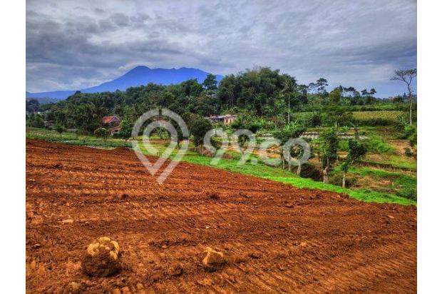 TANAH SULTAN 3000m² CISARUA PUNCAK BOGOR