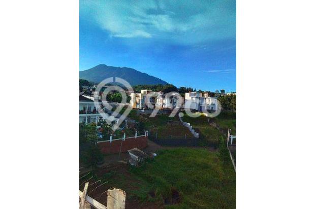 TANAH SULTAN 3000m² CISARUA PUNCAK BOGOR