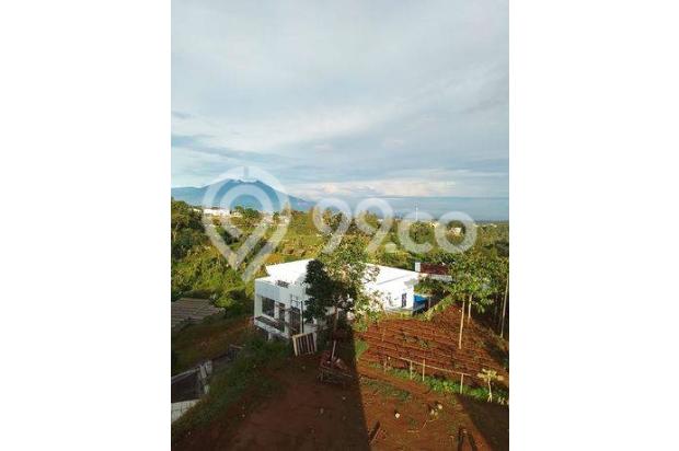 TANAH SULTAN 3000m² CISARUA PUNCAK BOGOR