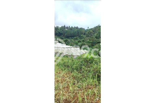 TANAH SULTAN 3000m² CISARUA PUNCAK BOGOR