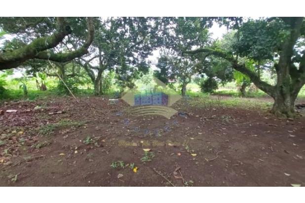 Dijual Tanah 3.350 m di Jl Cikuda, Cisauk,
Tangerang - Banten